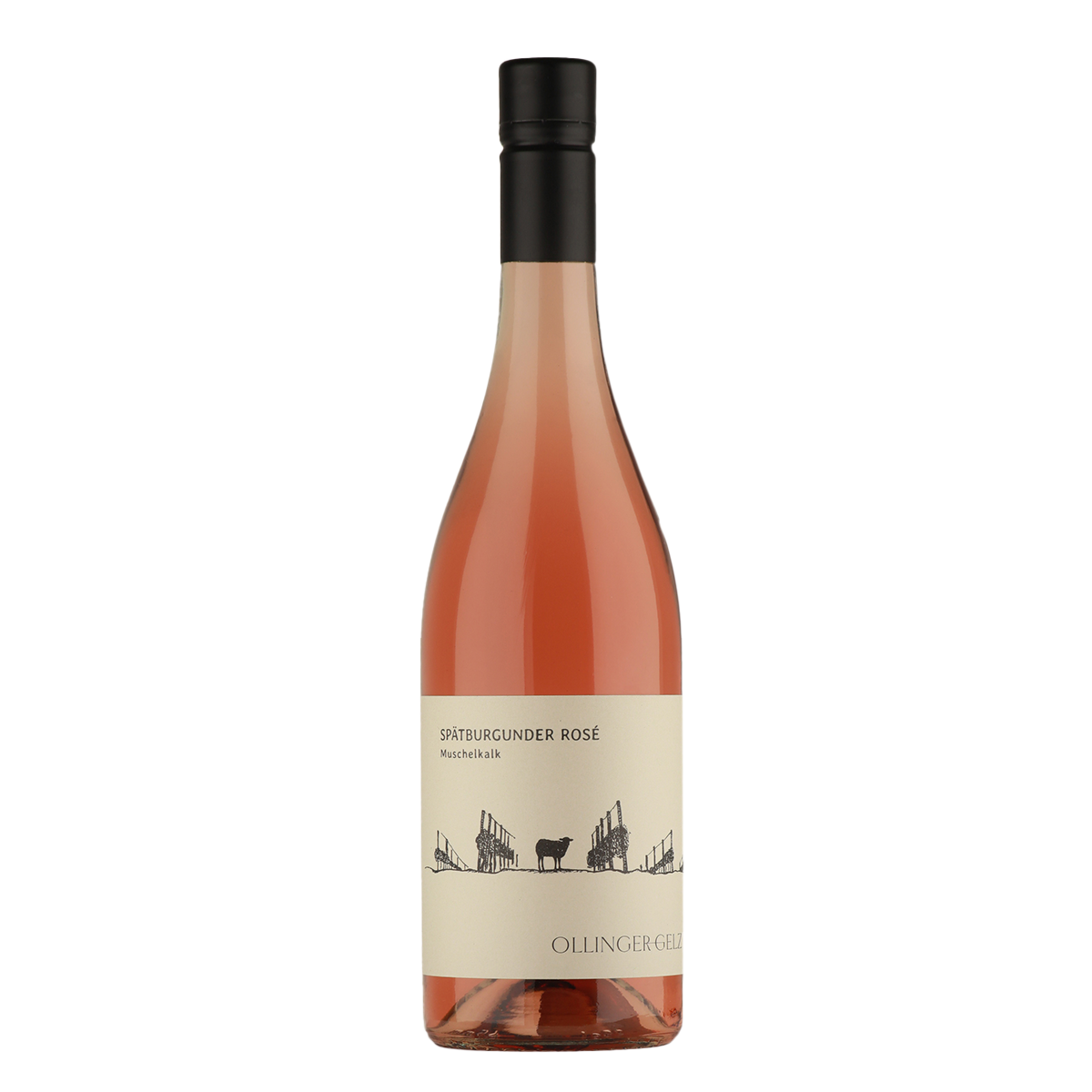 2024 Spätburgunder Muschelkalk Rosé trocken